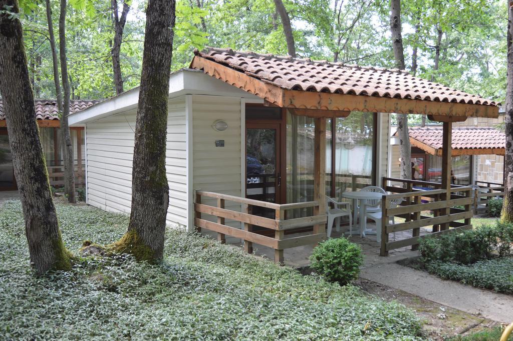 Villas Holidays Primorsko Cameră foto